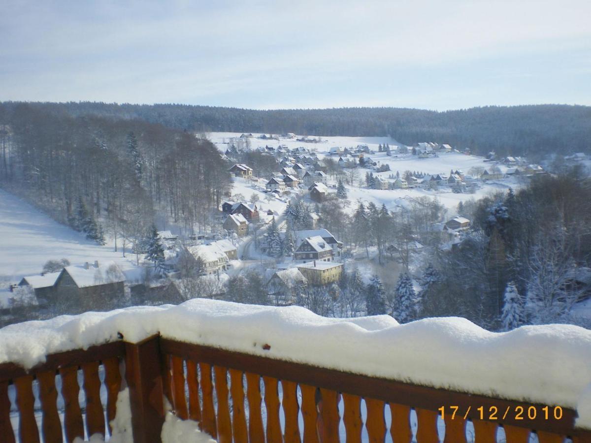 Cozy Apartment In Ore Mountains With Balcony Breitenbrunn  Exteriér fotografie